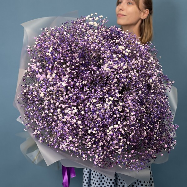 51 фиолетовая гипсофила